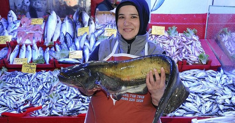 Kütahya’da balık pazarında tezgahlar doldu taştı