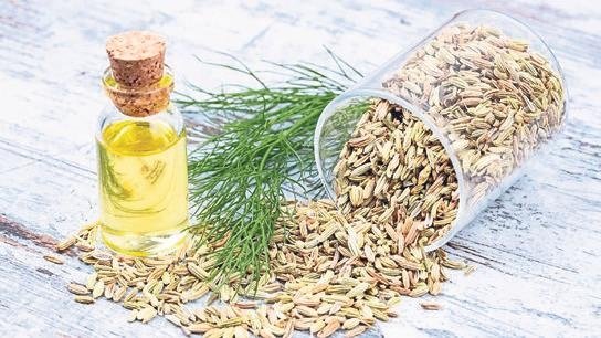 Yüzlerce yılın şifa kaynağı bitki çayları