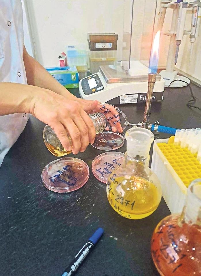 Kansere karşı şifa molekülü! Türk Bilim Ekibinin 18 yıllık çalışması sonuç verdi