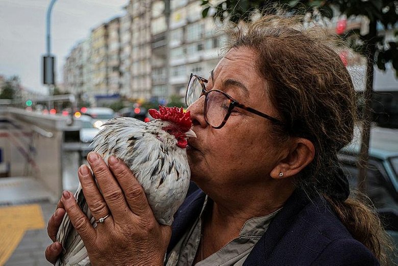 İzmir’de görenler bir daha bakıyor! Her yere birlikte gidiyorlar