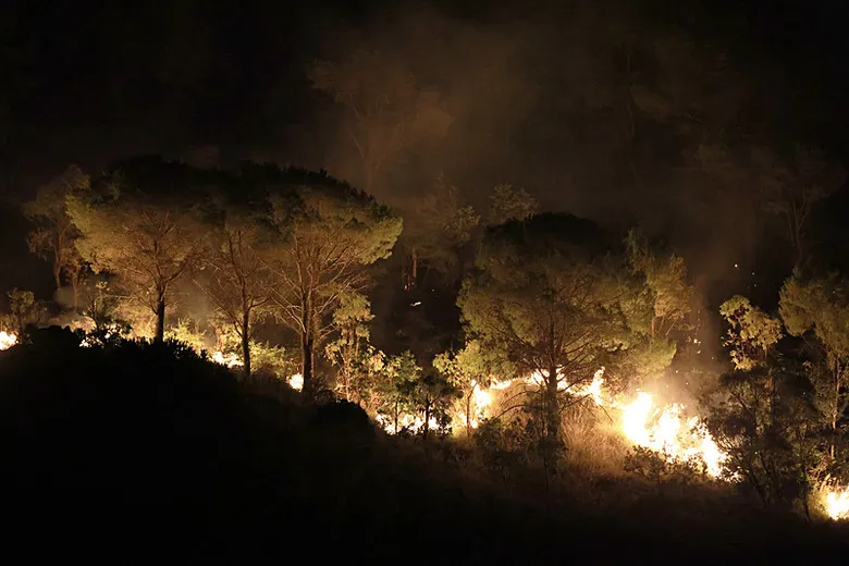 yangin-sezonu-oncesi-muglada-kirmizi-alarm-mugla-valisinden-yuksek-risk-uyarisi-1784561705943.jpeg