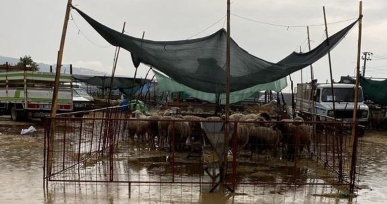 Çanakkale’de kurban pazarı sular altında kaldı! CHP’li belediyeye tepki