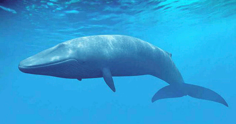 Emine’den fare zehirli intihar notu