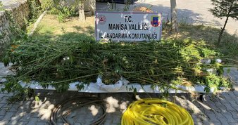 Manisa’da uyuşturucu operasyonu