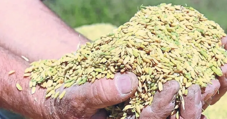 Tarımda yeni dönem
