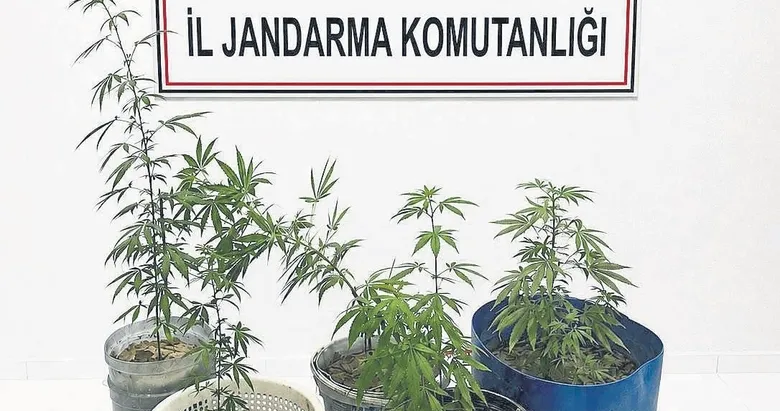 Kuşadası’nda uyuşturucu operasyonu: 3 gözaltı
