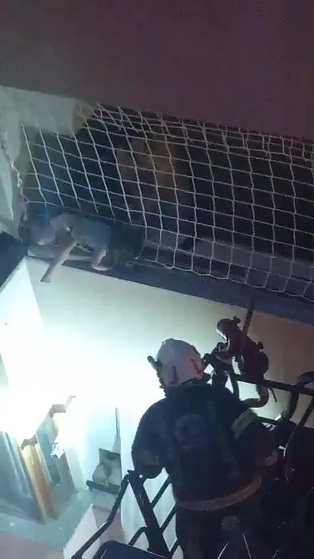 1783074485578.jpeg