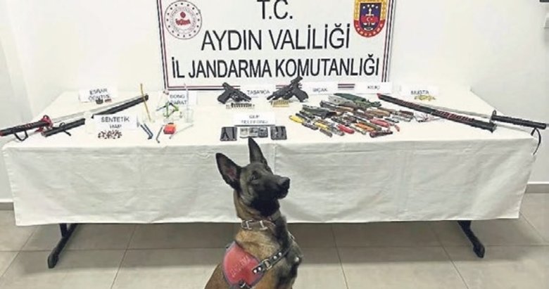 Aydın’da zehir baskınında samuray kılıcı ele geçirildi