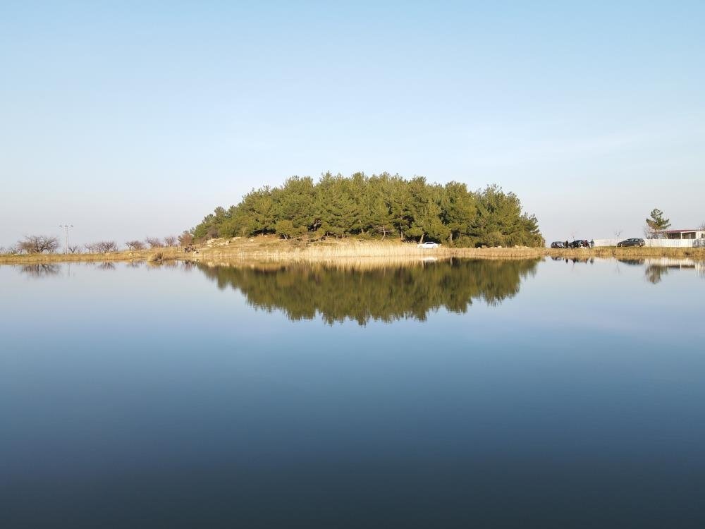 Manisa’nın en büyük sulak alanı Marmara Gölü kurudu! Göçmen kuşlar rotayı Sülüklü Göle çevirdi