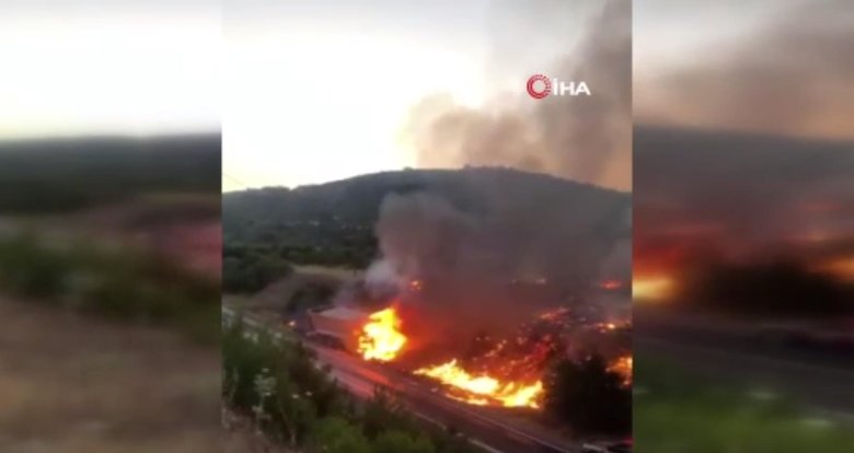 Kamyonda çıktı; ormana sıçradı! Manisa’da zamanında müdahale felaketi önledi