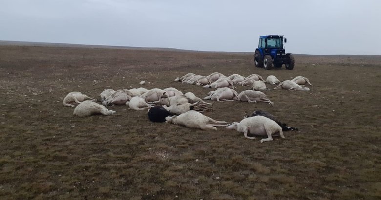 Afyonkarahisar’da yıldırım düşmesi sonucu 34 koyun öldü