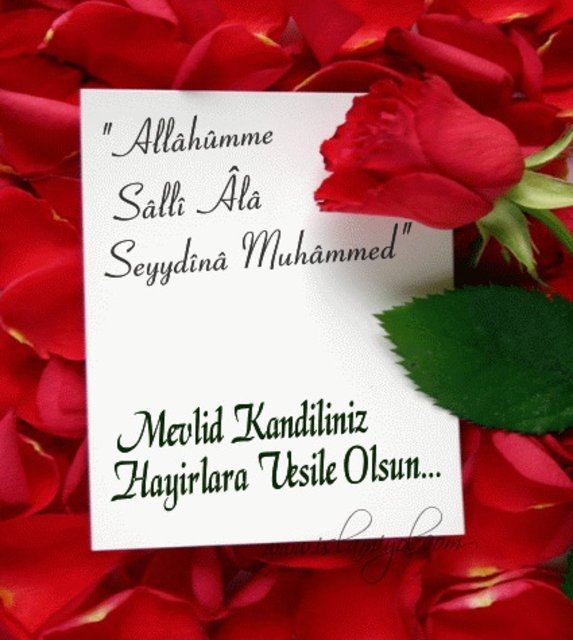 Mevlid Kandili mesajları! Resimli Mevlid Kandili mesajları...