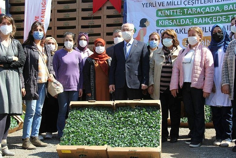 İzmir'de yerli tohumlardan elde edilen sebze fideleri 15 bin kadına dağıtılıyor