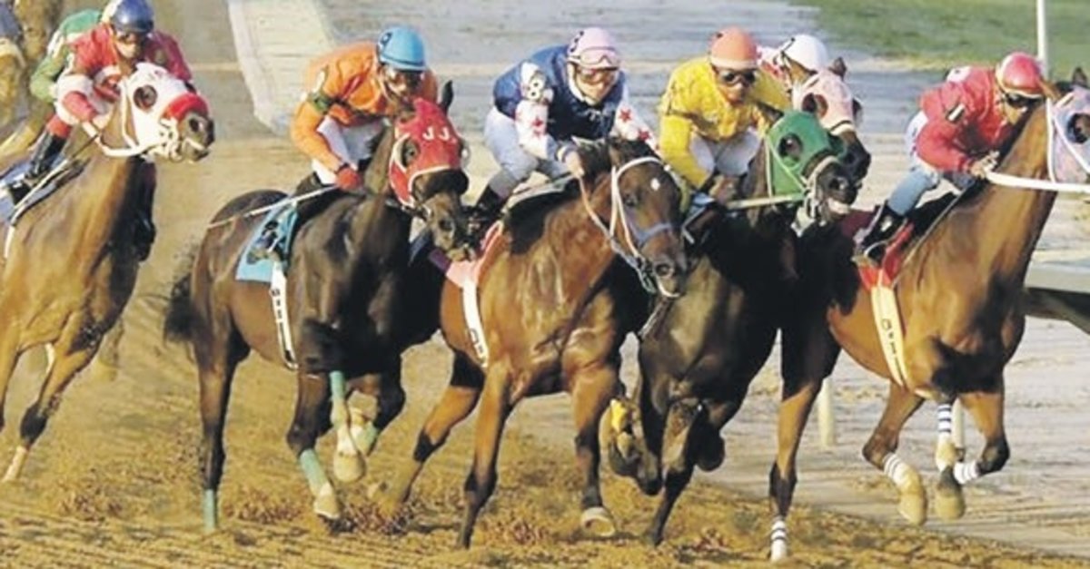 Altılı ganyan 11.255 lira ikramiye verdi