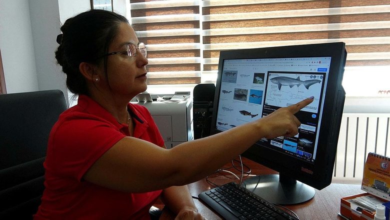 Çanakkale’de 3 metrelik köpek balığı oltaya takıldı