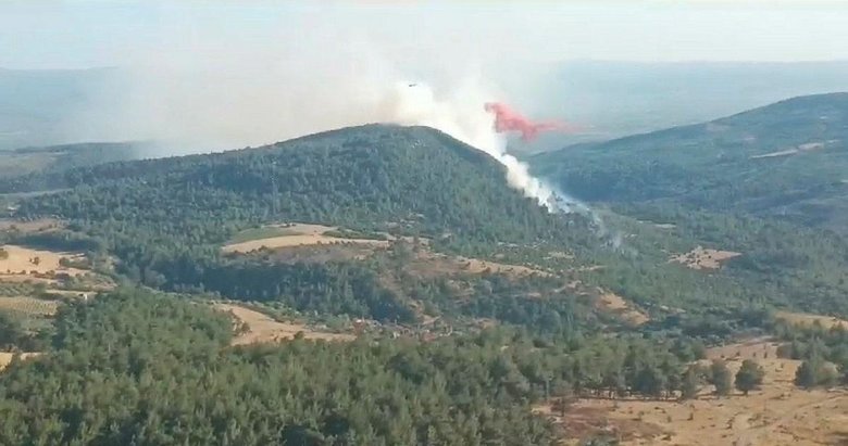 Manisa’da çıkan orman yangını 5 saatlik çalışmayla kontrol altına alındı