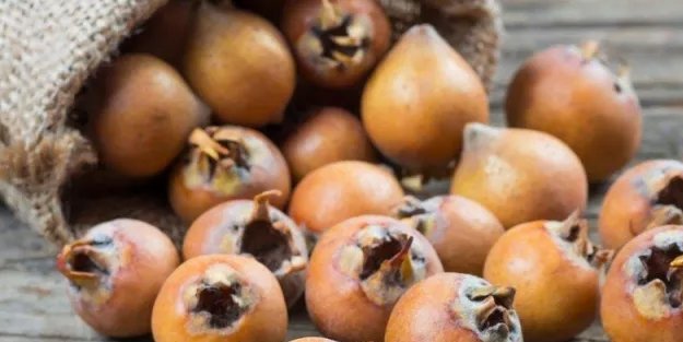 Muşmulanın faydaları nelerdir? Muşmula çekirdeği hangi hastalıklara iyi gelir?