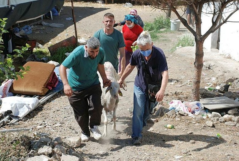 İzmirliler, kurbanlıklarını kesmek için kesim yerlerine koştu