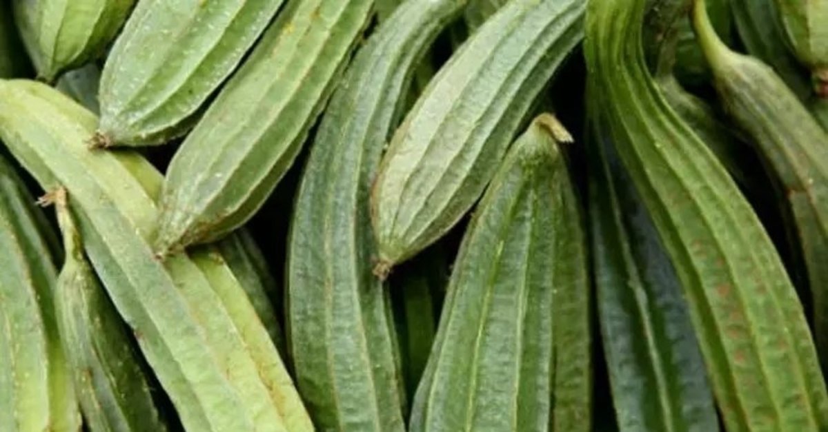 Küçük ama ilginç! Hem banyoda hem de mutfakta... Kabak lifi hakkında şaşırtan detaylar!