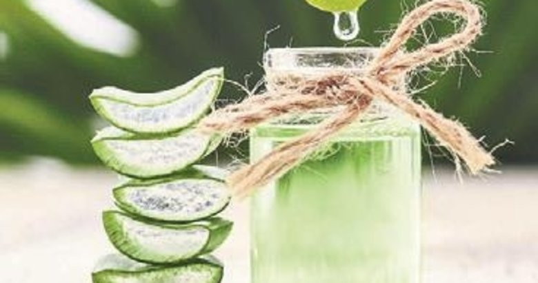 Aloe vera egzama kantsn gideriyor - Salk Haberleri