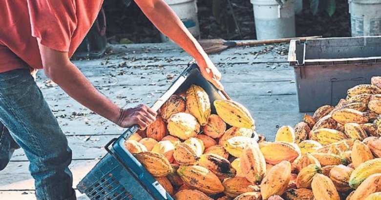 Seyahatte yeni moda antilüks