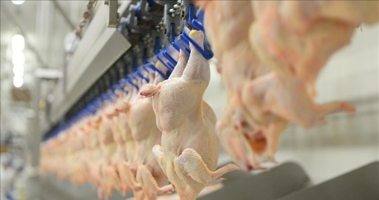 Tavuk eti üretimi ekimde aylık 6,3, yıllık yüzde 11,6 arttı