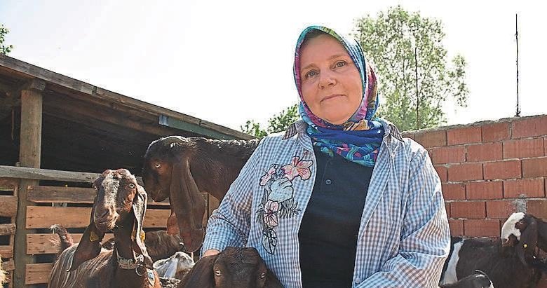 Mesleğini bırakıp keçi sürüsü sahibi oldu