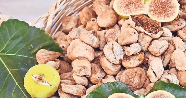 Aydın inciri, 120 ülkeye ihraç ediliyor