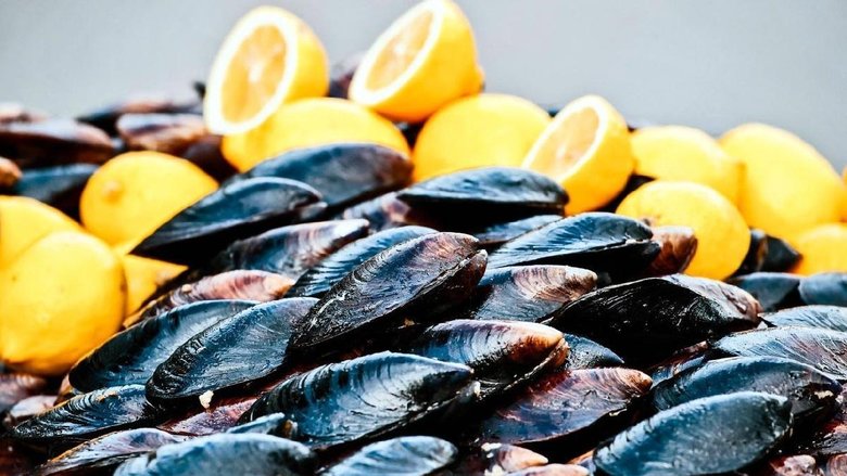 Uzmanlar uyardı: Dip balığı ve midye yemeyin