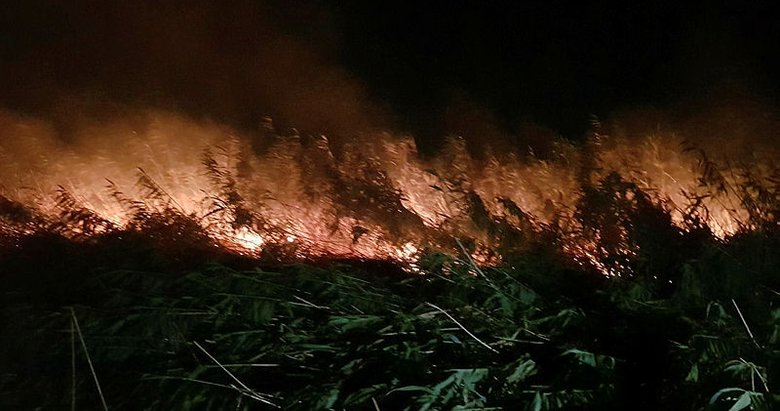 Balıkesir Edremit’te sazlık alanda çıkan yangın söndürüldü