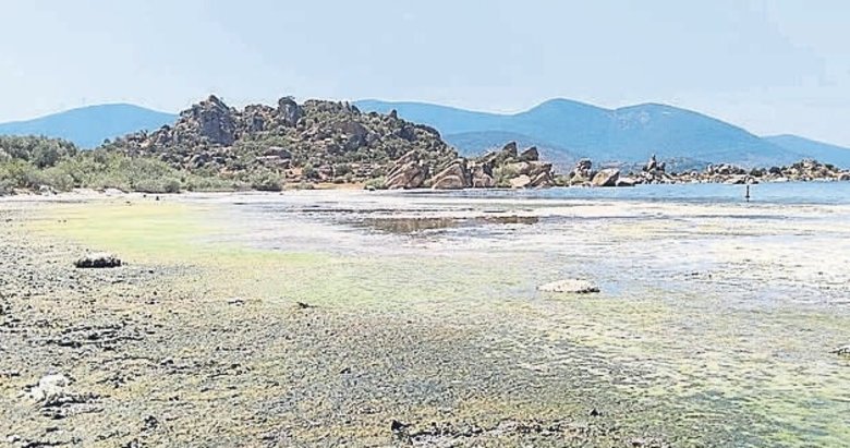 Bakanlıktan Bafa Gölü’ne acil koruma kararı