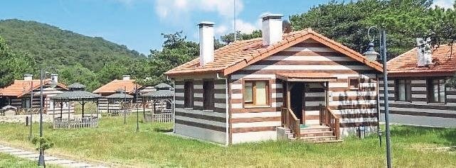 Serin sevenlerin zirvesi Spil