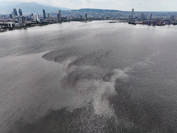 İzmir Körfezi’nden tutulan balıklar yenilebilir mi? Uzman isim açıkladı