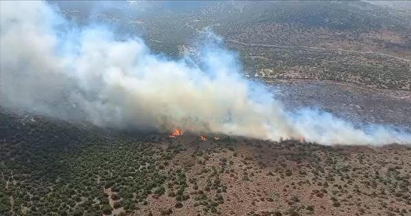 İzmir'de makilik alanda yangın çıktı! Soğutma çalışması yapılıyor