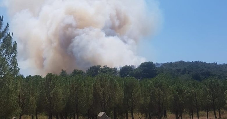 İzmir’de bir orman yangını daha çıktı