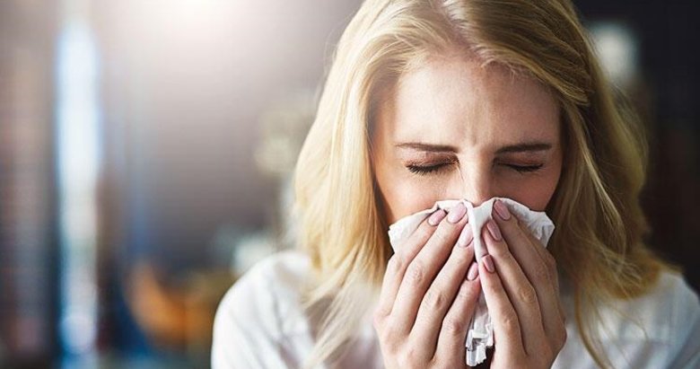Gribin başlıca sebebi influenza virüsü