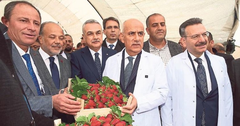 ‘Örtü altı üretim alanı 20 yılda yüzde 50 arttı’