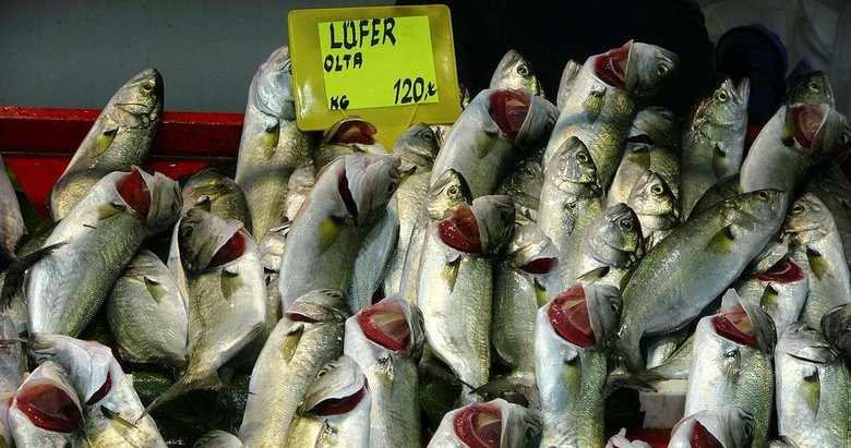 Denizlerin prensi lüfer, Çanakkale’de 80 liradan 120 liraya çıktı