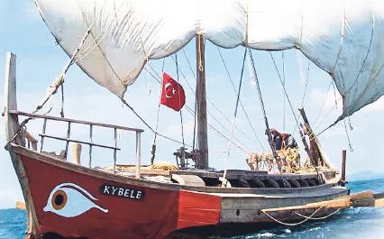marsilyanin-focali-kokleri-1789929766774.png
