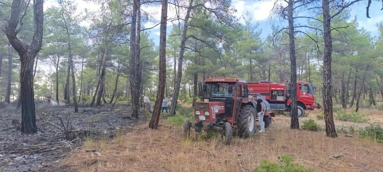 Kütahya’da ormana düşen yıldırım, 8 dekar alanı yaktı