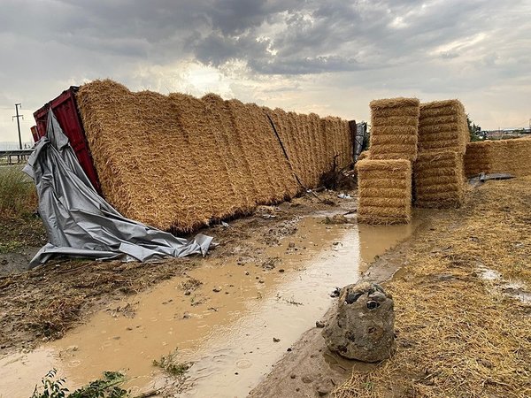 Saman yüklüydü: Şarampole devrilen tırın sürücüsü hayatını kaybetti