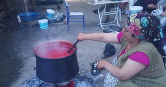 Bakım ve tedavileri yapılan 14 kuş halkalanarak doğaya salındı