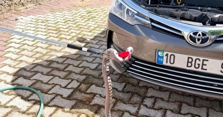 Araç motoruna giren zehirli yılan korkuttu