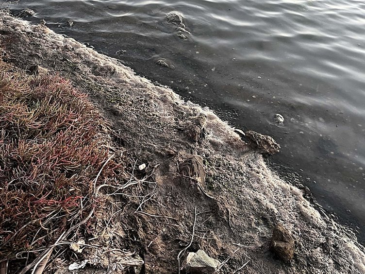 Muğla’da korkutan görüntü: Göl çevresindeki köpük endişe yarattı