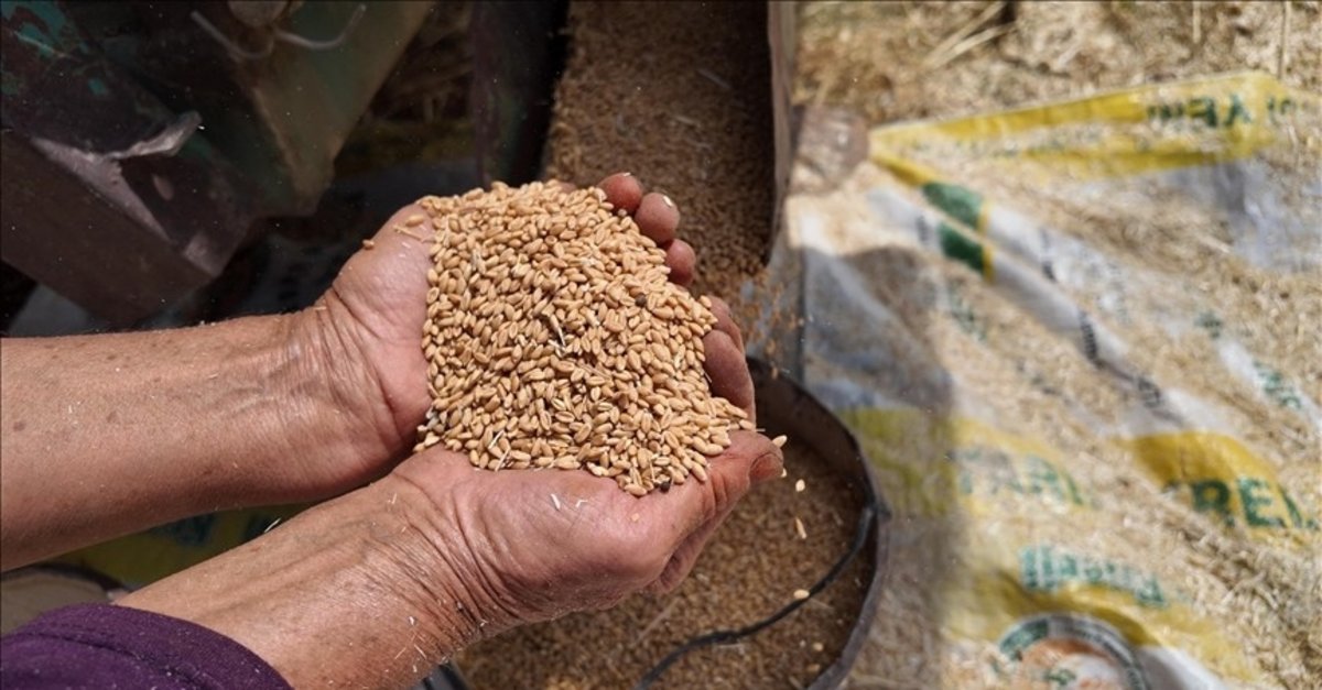 TMO'nun stokları gelecek hasat dönemine kadar Türkiye'nin ihtiyaçlarını karşılayacak seviyede