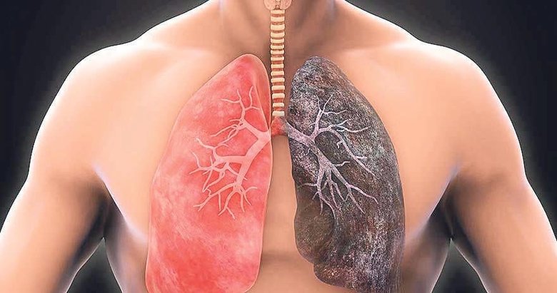 Akciğeri temizleyen mucizevi besinler