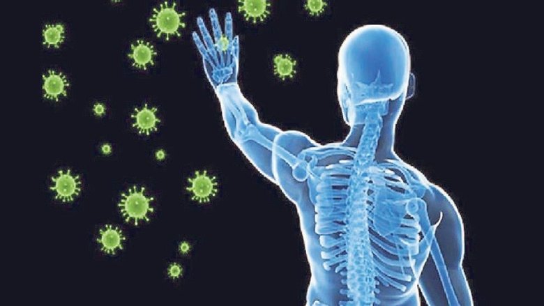 Bağışıklığı probiyotik ve fermente gıdalarla güçlendirin