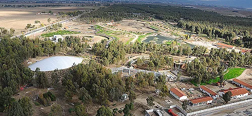 İzmir’de sıcaklardan kaçıp nefes alabileceğiniz piknik alanları