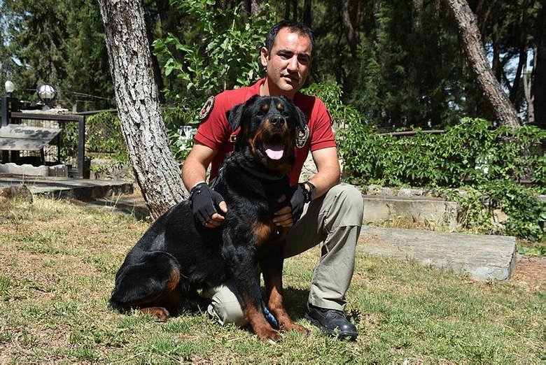 Sahibi uyuşturucudan tutuklanan �Buffy�, artık polis köpeği