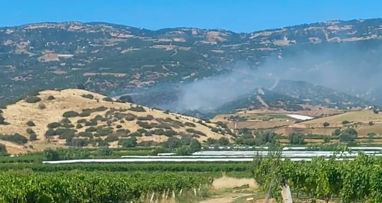 SON DAKİKA: Manisa’da orman yangını: Müdahale devam ediyor